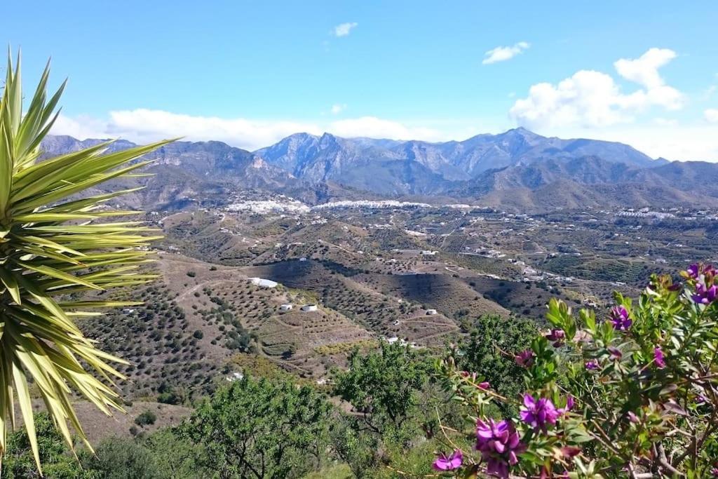 Countryside Private Apartment With Pool & Sea View Torrox Εξωτερικό φωτογραφία