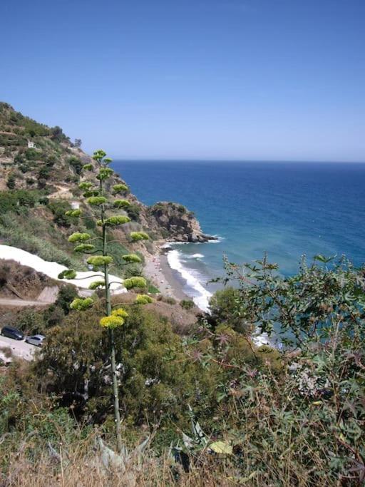 Countryside Private Apartment With Pool & Sea View Torrox Εξωτερικό φωτογραφία